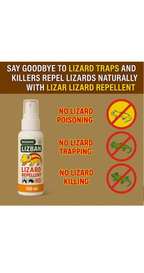 Lizard Repellent Spray 100Ml (Pack of 2)